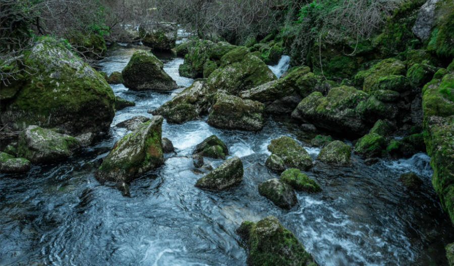 Disfrutar de la naturaleza depende de una buena audición