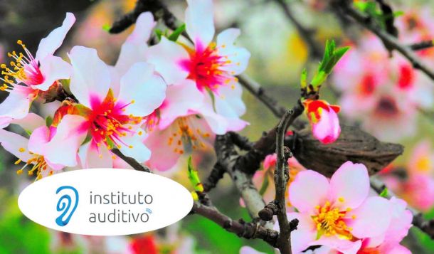 Primavera y audífonos en el Instituto Auditivo
