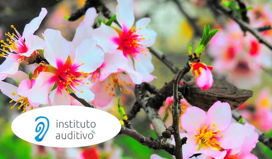 Primavera y audífonos en el Instituto Auditivo